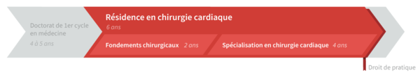 Graphique de cheminement résidence en chirurgie cardiaque