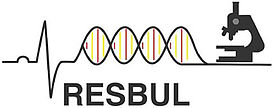 Logo RESBUL