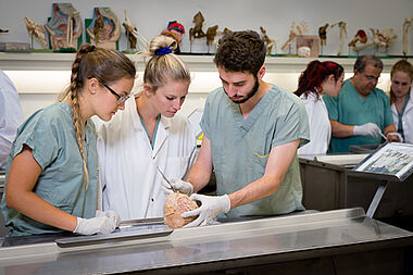 Étudiants manipulant un corps légué à la science - Laboratoire d'anatomie