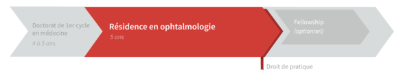 Graphique de cheminement résidence en ophtalmologie