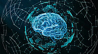 Image vectorielle d'un cerveau 