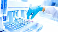 Travail en laboratoire