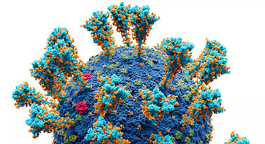 Le virus de la COVID-19 et la protéine S à sa surface