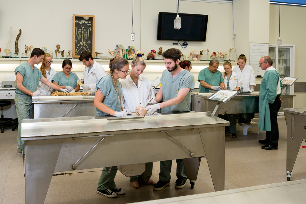 Cours d'anatomie dans le laboratoire