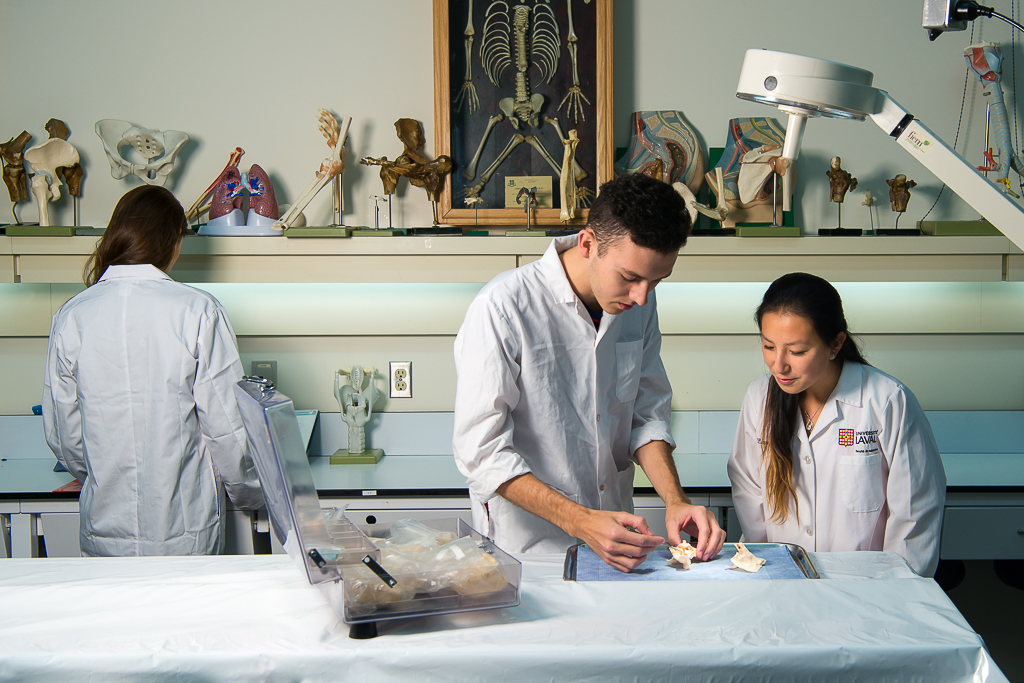 Étudiants manipulant des os dans le laboratoire d'anatomie