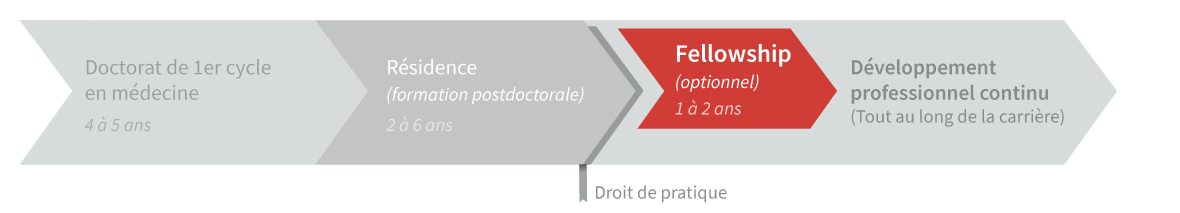 Cheminement des études en médecine - Fellowship