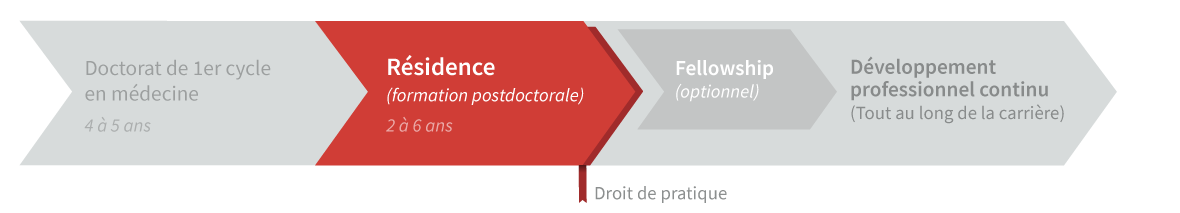 Cheminement des études en médecine - Résidence