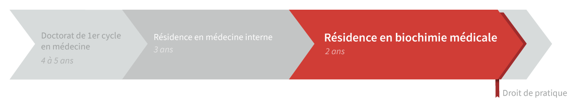 Graphique de cheminement résidence en biochimie médicale