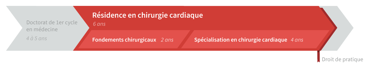 Graphique de cheminement résidence en chirurgie cardiaque