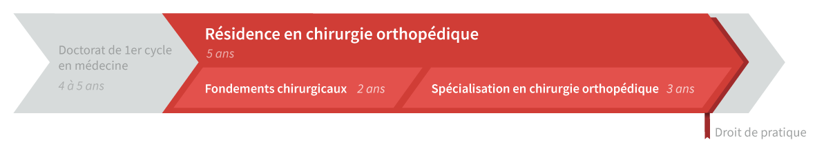 Graphique de cheminement résidence en chirurgie orthopédique