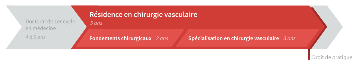 Graphique de cheminement résidence en chirurgie vasculaire