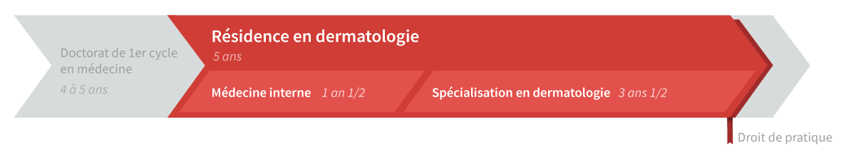 Graphique de cheminement résidence en dermatologie