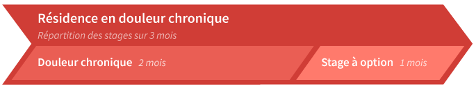 Répartition des stages en douleur chronique