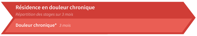 Répartition des stages en douleur chronique