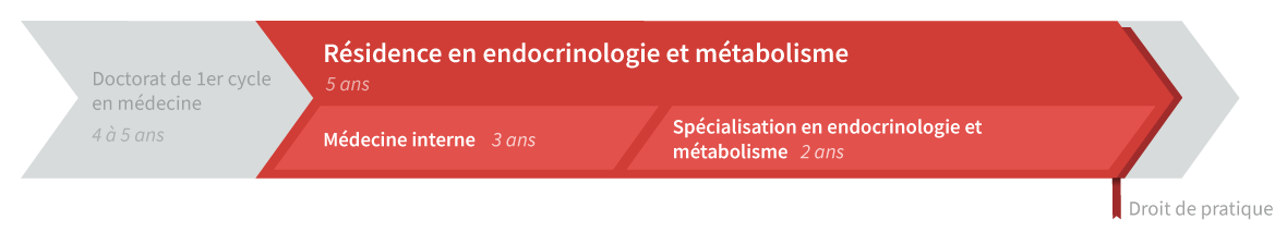 Graphique de cheminement résidence en endocrinologie et métabolisme