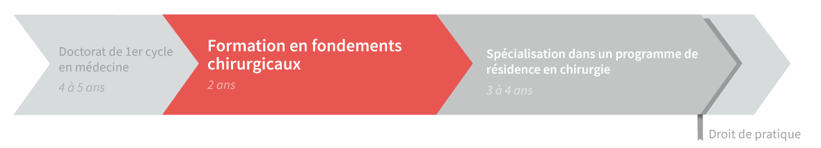 Tronc commun fondements chirurgicaux