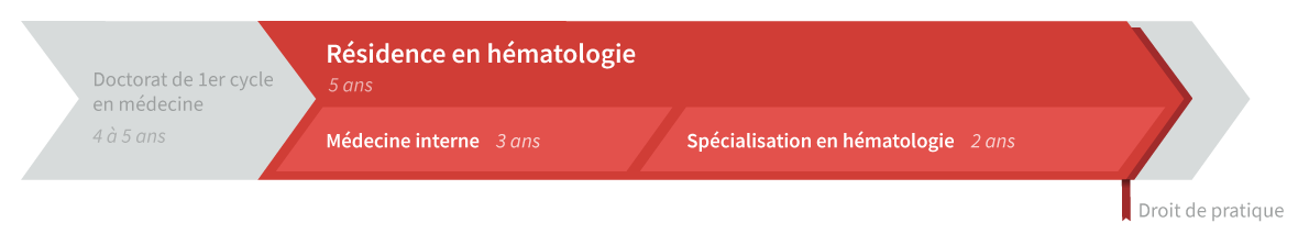 Graphique de cheminement résidence en hématologie