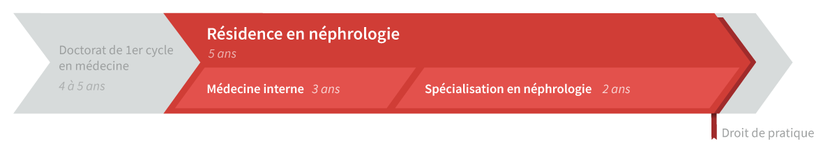 Graphique de cheminement résidence en néphrologie