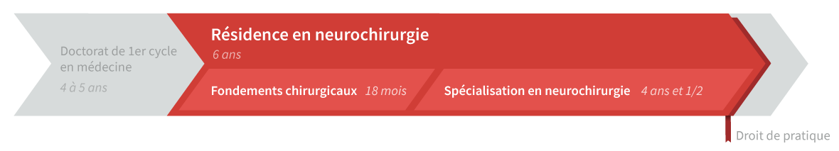 Graphique de cheminement résidence en neurochirurgie