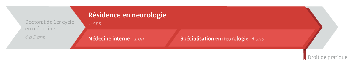 Graphique de cheminement résidence en neurologie