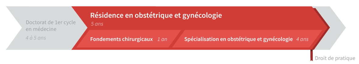 Graphique de cheminement résidence en obstétrique-gynécologie