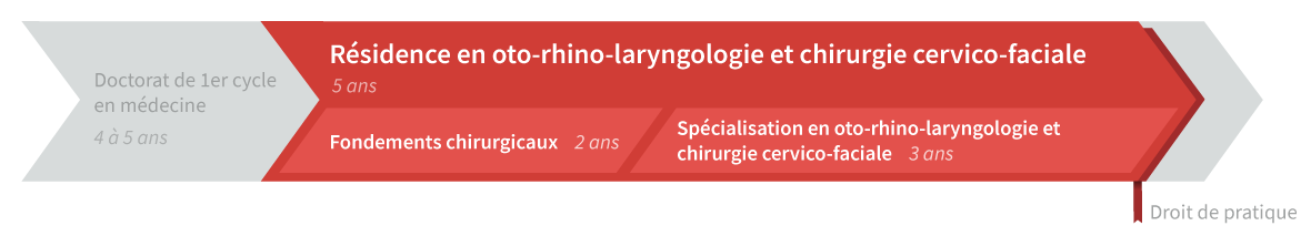 Graphique de cheminement résidence en ORL et chirurgie cervico-faciale