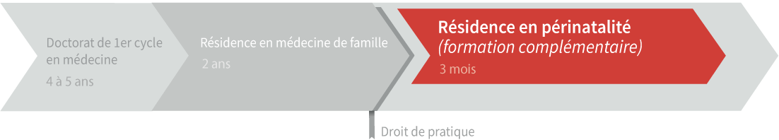 Graphique de cheminement résidence en périnatalité