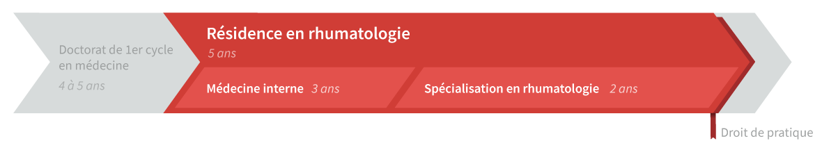 Graphique de cheminement résidence en rhumatologie